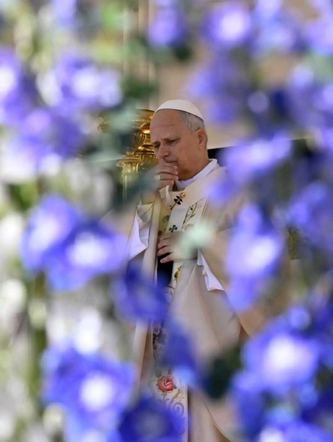 pope leo
